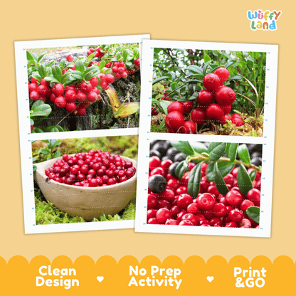Lingonberry Cut and Match Activity Worksheets | Nuts and Dried Fruits Puzzle Printables