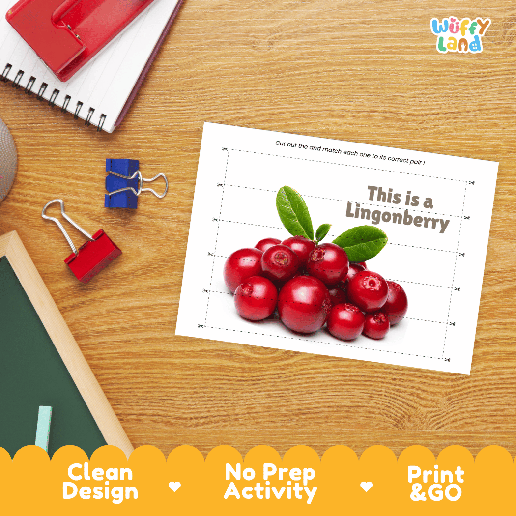 Lingonberry Cut and Match Activity Worksheets | Nuts and Dried Fruits Puzzle Printables