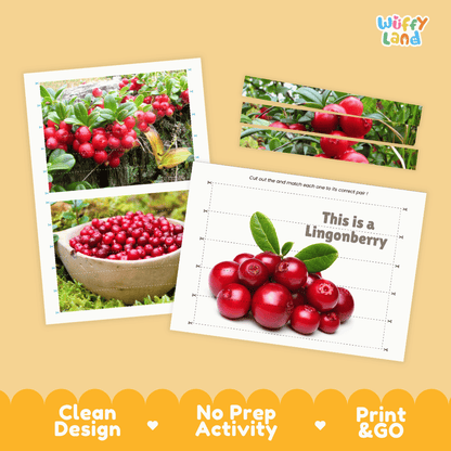 Lingonberry Cut and Match Activity Worksheets | Nuts and Dried Fruits Puzzle Printables