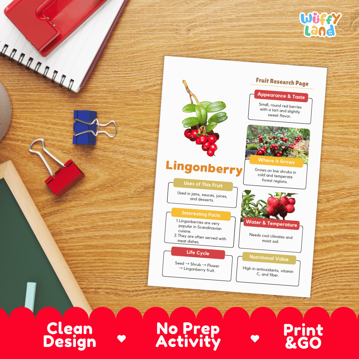 Lingonberry Fruit Research Project Science Worksheet Fact Sheet Activity