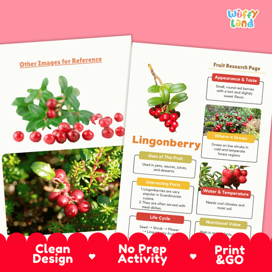 Lingonberry Fruit Research Project Science Worksheet Fact Sheet Activity