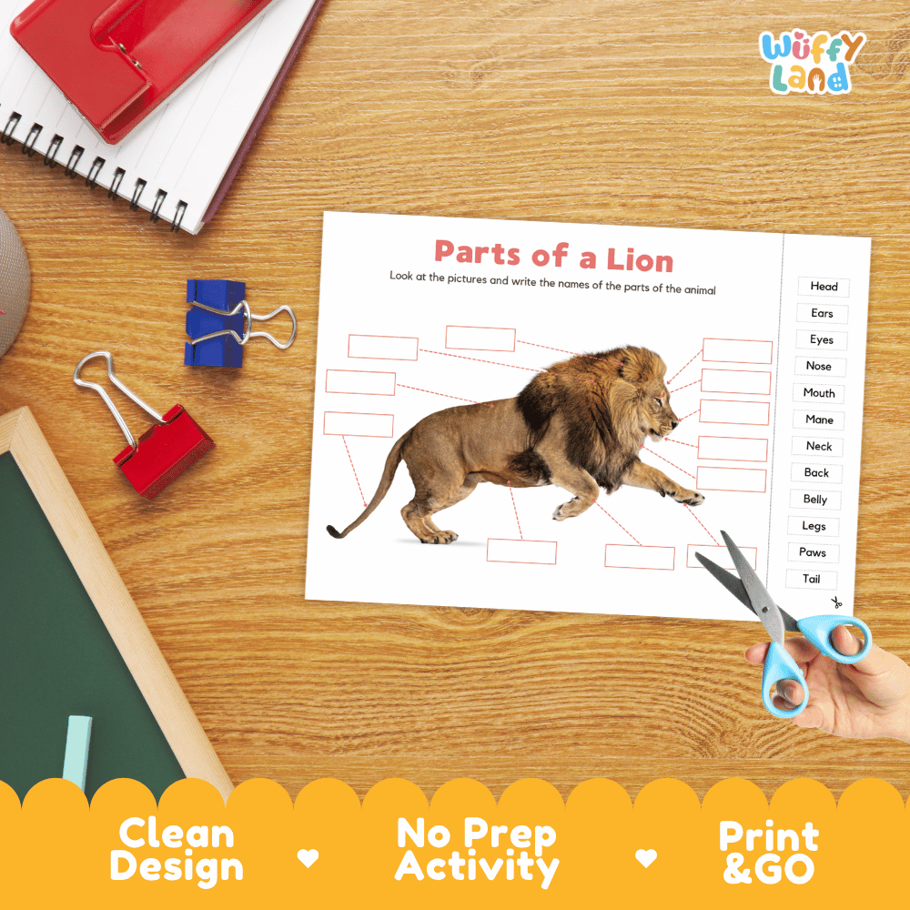 Differentiated lion body parts labeling worksheets featuring fill-in write-in boxes and vocabulary word bank