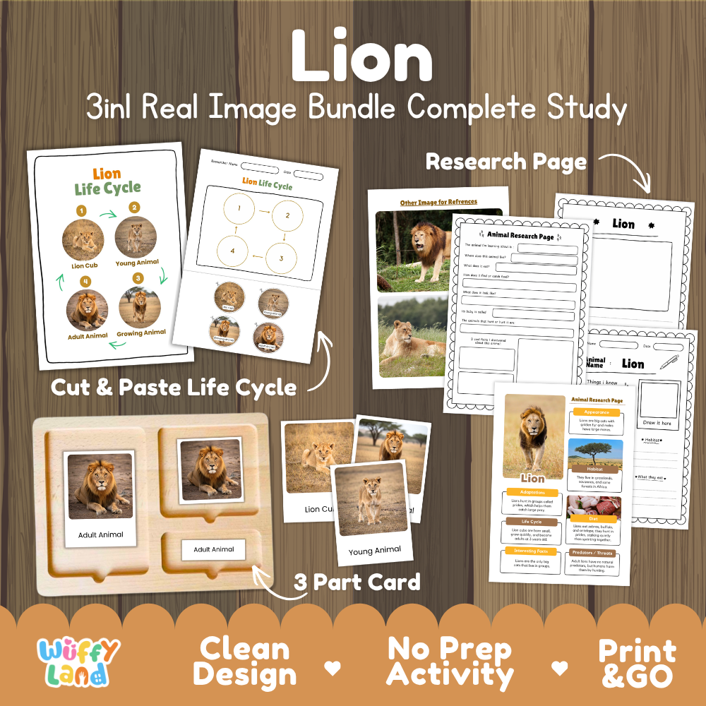 Lion 3-in-1 real image bundle complete study cover showing cut and paste life cycle, 3 part cards, and research pages