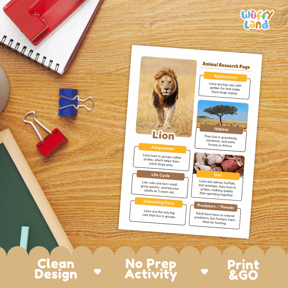 An educational animal research page about a lion, printed on a white sheet and placed on a wooden desk with school supplies. The page includes a lion photo, text sections, and small labeled animal images.