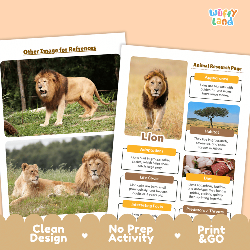 Two printed educational activity sheets for a lion research project, displayed on a peach background with decorative beige banners at the bottom. The left sheet has photos of lions and the title 'Other Image for References.