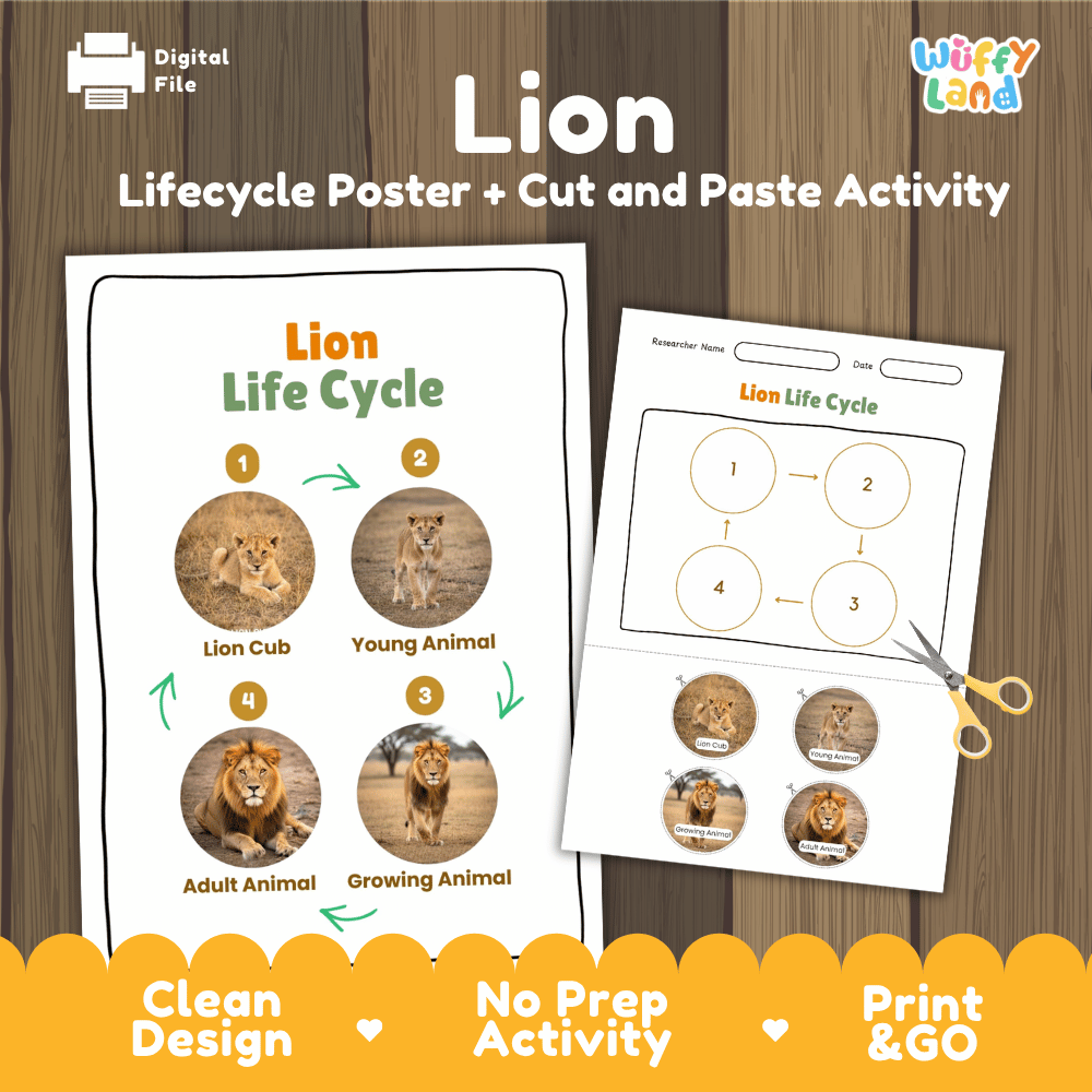 Lion Life Cycle Poster and Cut and Paste Activity Worksheets
