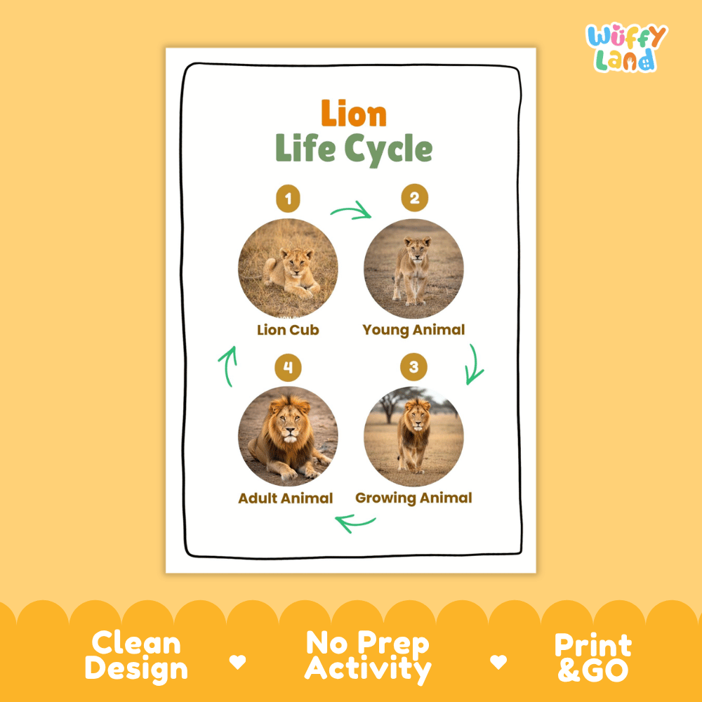 Lion Life Cycle Poster and Cut and Paste Activity Worksheets