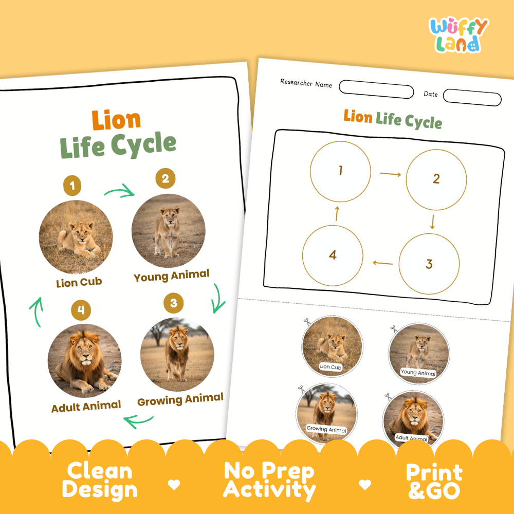 Lion Life Cycle Poster and Cut and Paste Activity Worksheets