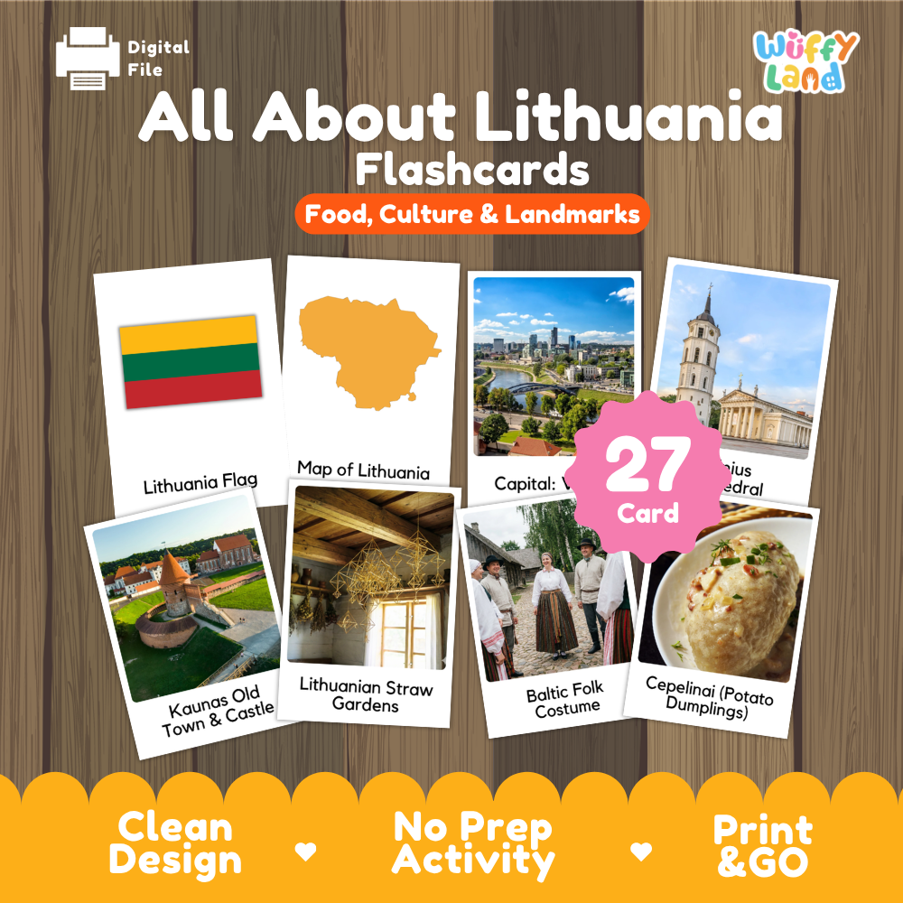 Klaipeda port and Vilnius cathedral coloring pages paired with photo flashcards of Vilnius Cathedral, Kaunas Castle, Straw Gardens, and Cepelinai