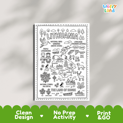 Educational activity coloring page highlighting Lithuania's national bird the White Stork, national flower Rue, and Baltic amber