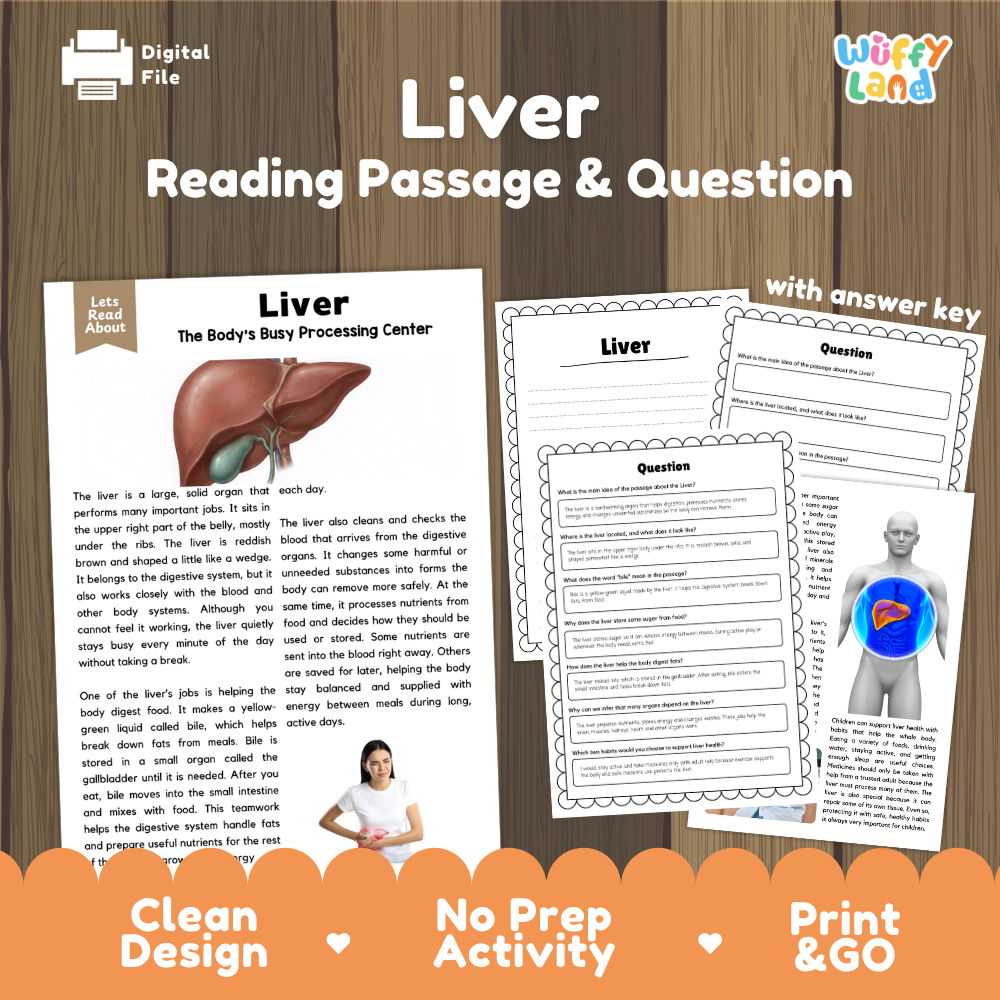 Liver reading comprehension passage and questions printable activity pack with answer key for elementary students