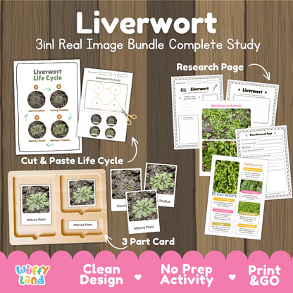 Liverwort plant 3in1 real image bundle complete study printable featuring life cycle cut and paste worksheets, Montessori 3-part cards, and research pages