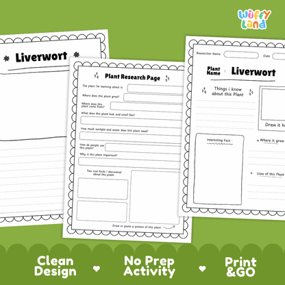 Liverwort Plant Research Pages and Worksheets