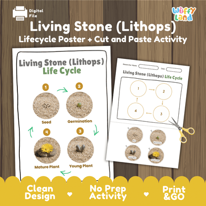 Living Stone (Lithops) Life Cycle Poster and Cut and Paste Worksheet Activity