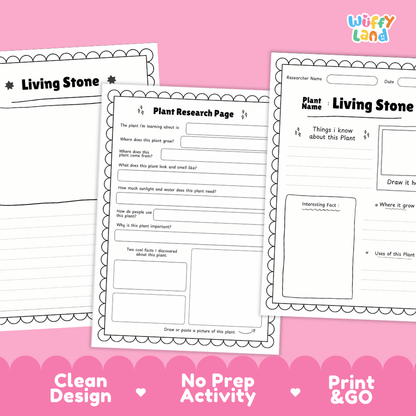 Three printable worksheet pages for plant research are shown on a pink background with decorative text reading 'Clean Design', 'No Prep Activity', and 'Print & GO'. The pages include headings like 'Living Stone' and 'Plant Research Page' with blank lines and boxes for writing and drawing.