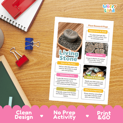 A printed educational poster titled 'Living Stone' lies on a wooden desk. The poster features text sections, a plant photo, and colorful headers.