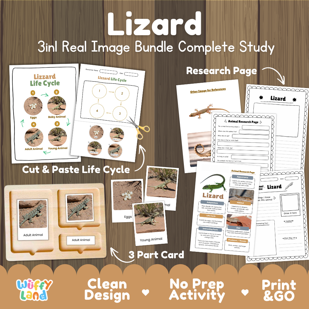 Lizard 3-in-1 real image bundle complete study cover showing cut and paste life cycle, 3 part cards, and research pages