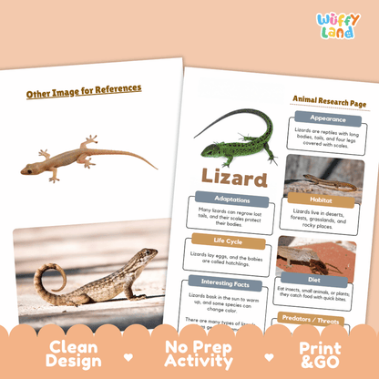 Lizard Animal Research Page Worksheets and Fact Sheet Activity