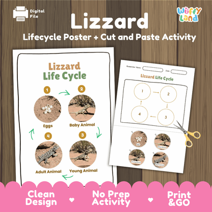 Lizard Lifecycle Poster and Cut and Paste Activity Worksheets | Reptile Science Printables