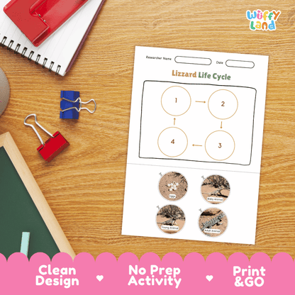 Lizard Lifecycle Poster and Cut and Paste Activity Worksheets | Reptile Science Printables
