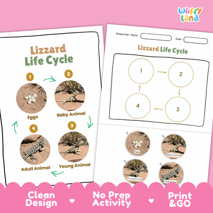 Lizard Lifecycle Poster and Cut and Paste Activity Worksheets | Reptile Science Printables