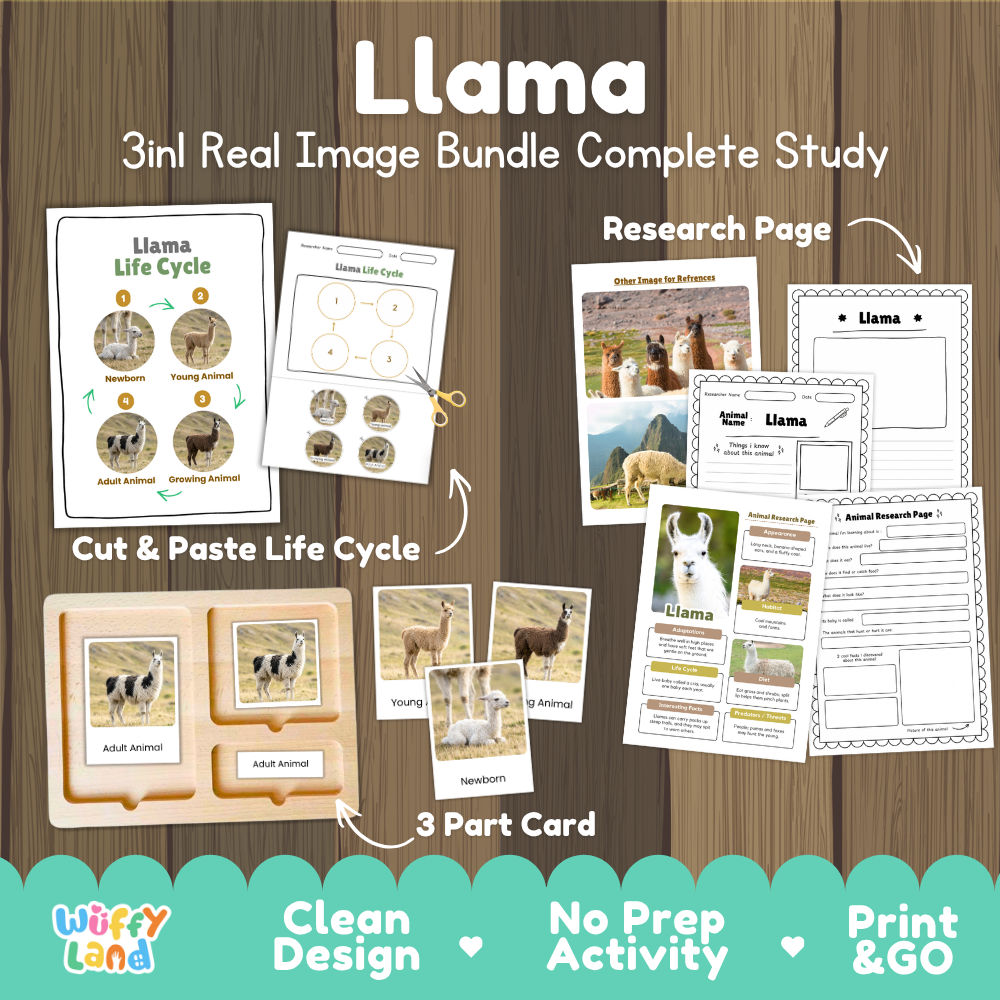 Llama 3-in-1 real image bundle complete study cover showing cut and paste life cycle, 3 part cards, and research pages