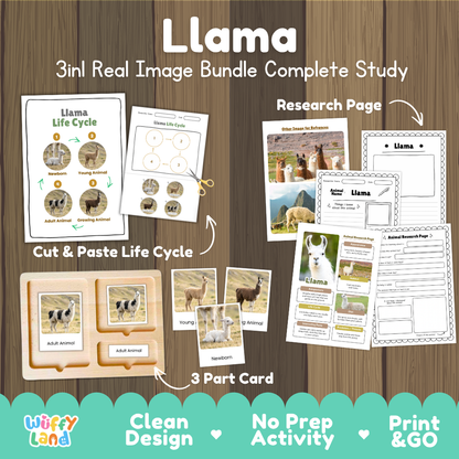 Llama 3-in-1 real image bundle complete study cover showing cut and paste life cycle, 3 part cards, and research pages