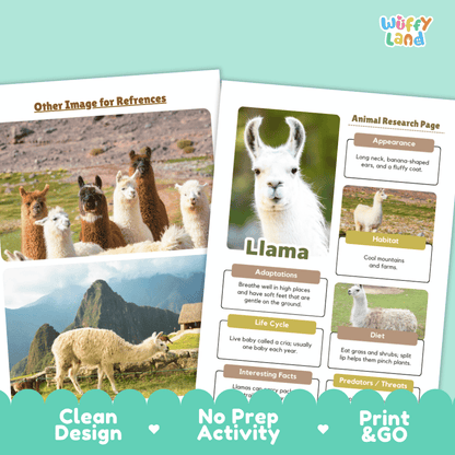 Two printed activity sheets about llamas displayed on a mint green background. The sheets show llama photos, labeled sections for appearance, habitat, adaptations, life cycle, diet, and interesting facts, with marketing text along the bottom reading 'Clean Design', 'No Prep Activity', and 'Print & GO'.
