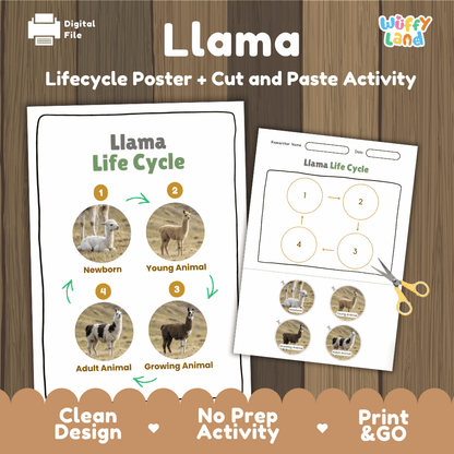 Llama Life Cycle Poster and Cut and Paste Activity Worksheets