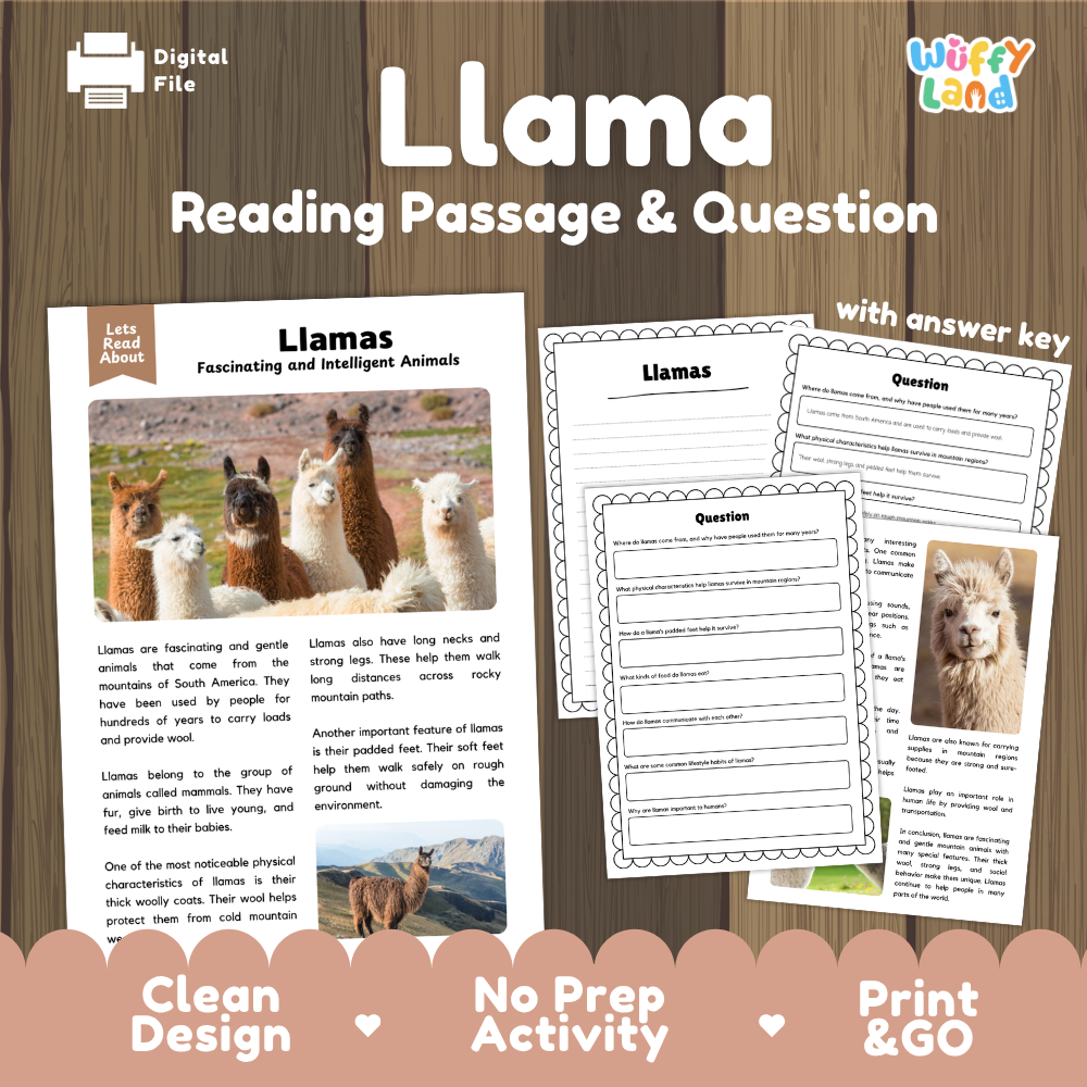 Llamas Reading Passage and Comprehension Questions Worksheets with Answer Key
