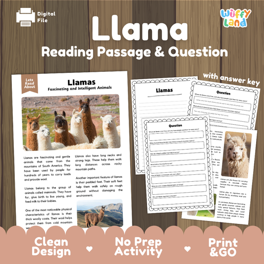 Llamas Reading Passage and Comprehension Questions Worksheets with Answer Key