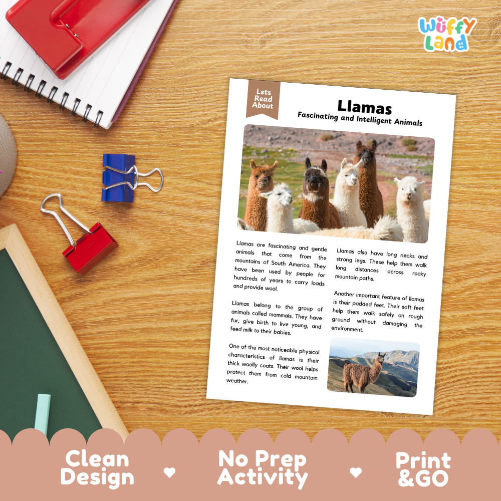 Llamas Reading Passage and Comprehension Questions Worksheets with Answer Key