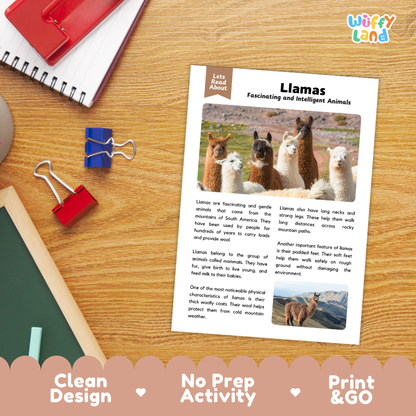 Llamas Reading Passage and Comprehension Questions Worksheets with Answer Key