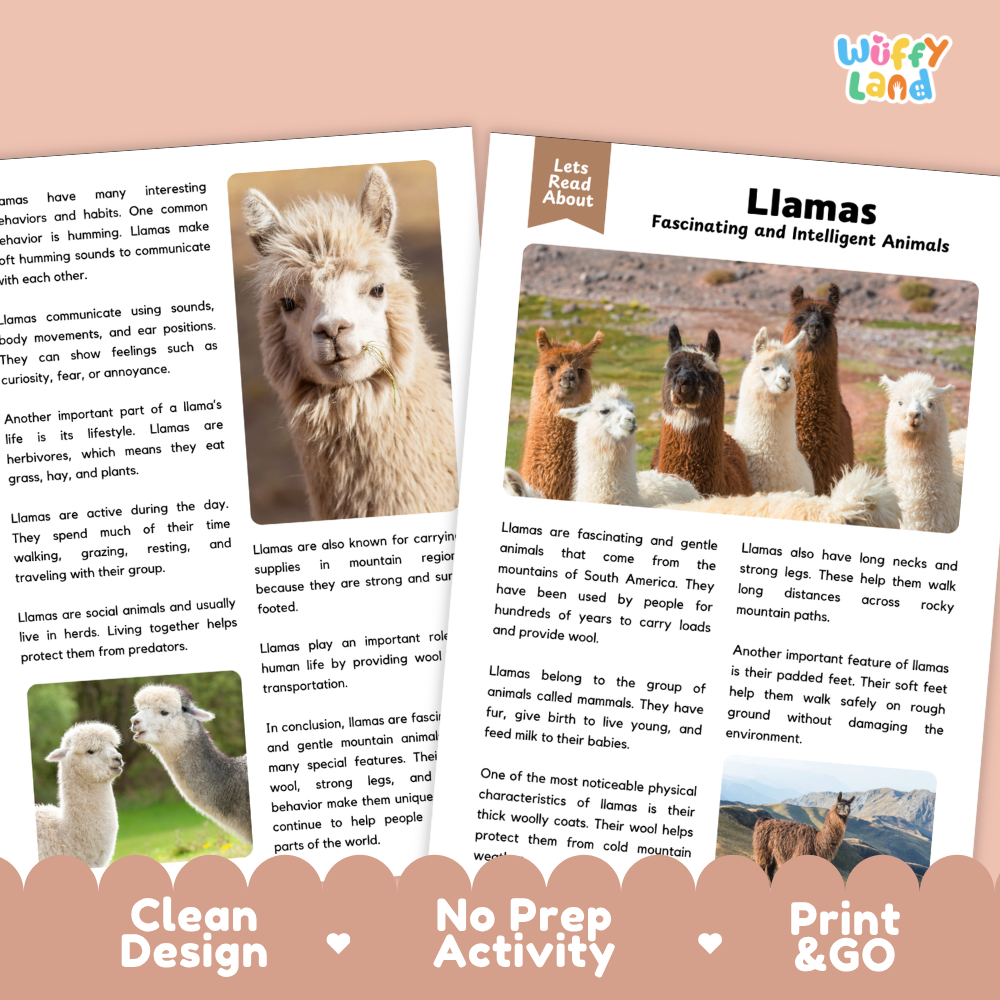 Llamas Reading Passage and Comprehension Questions Worksheets with Answer Key