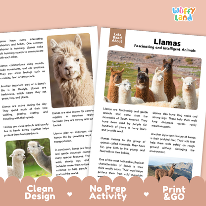 Llamas Reading Passage and Comprehension Questions Worksheets with Answer Key