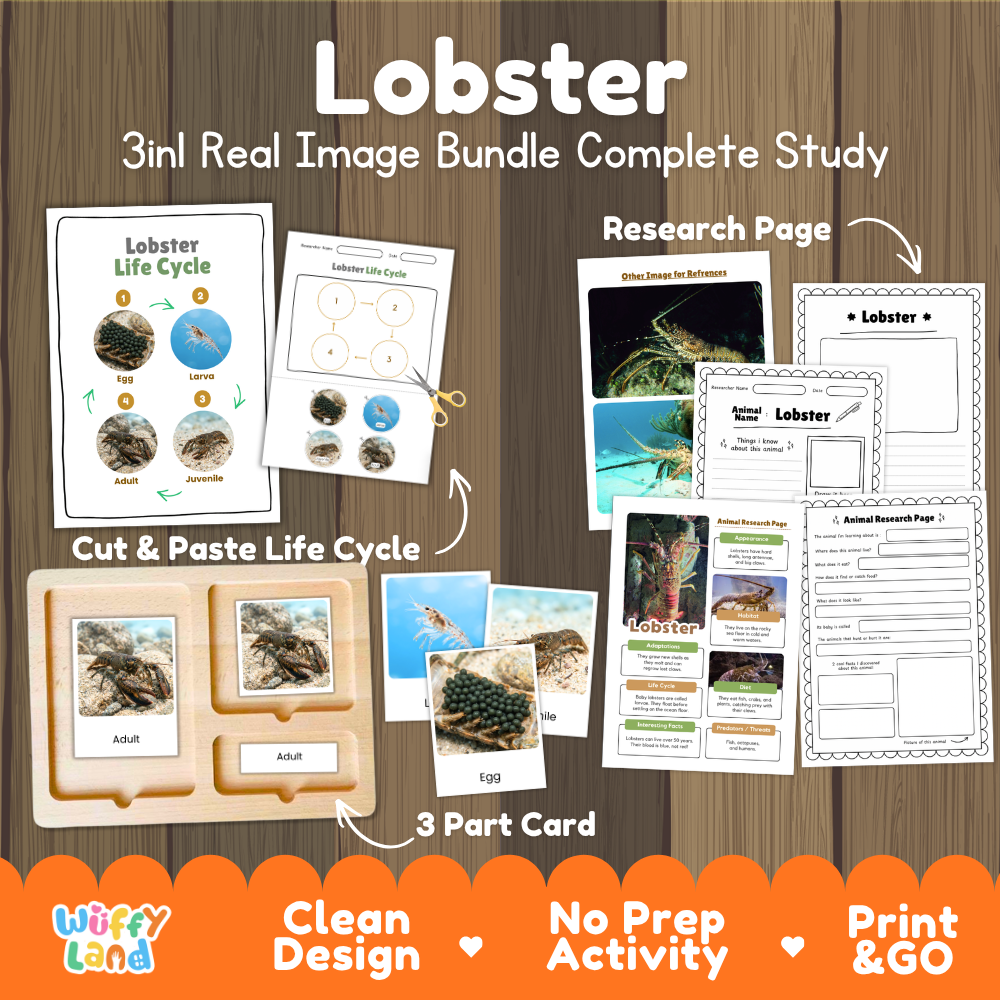 Lobster 3-in-1 real image bundle complete study cover showing cut and paste life cycle, 3 part cards, and research pages