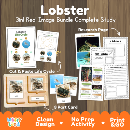 Lobster 3-in-1 real image bundle complete study cover showing cut and paste life cycle, 3 part cards, and research pages
