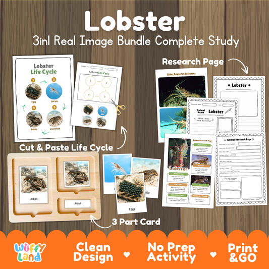 Lobster 3-in-1 real image bundle complete study cover showing cut and paste life cycle, 3 part cards, and research pages