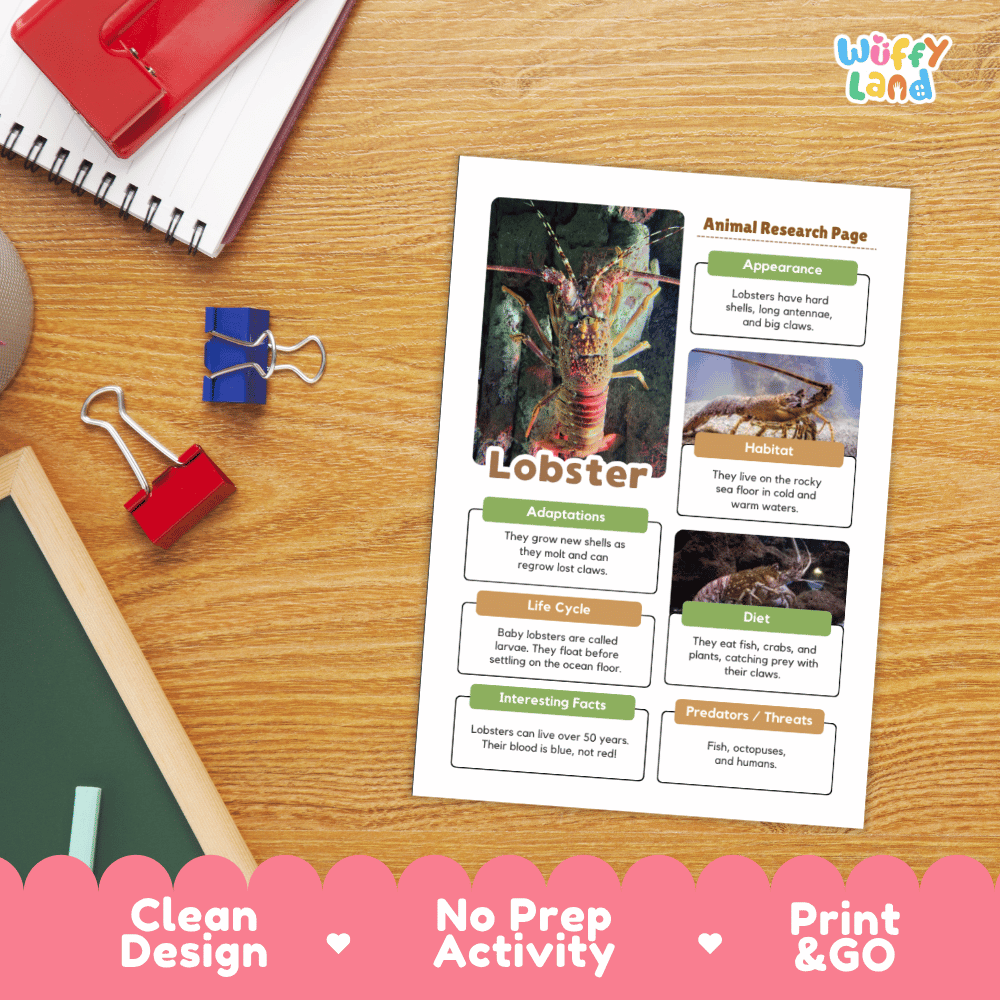 An educational lobster animal research activity page displayed on a wooden desk with school supplies, featuring a lobster photo and text sections, with a pink 'Print & Go' banner at the bottom.