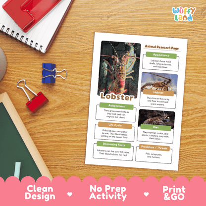 An educational lobster animal research activity page displayed on a wooden desk with school supplies, featuring a lobster photo and text sections, with a pink 'Print & Go' banner at the bottom.