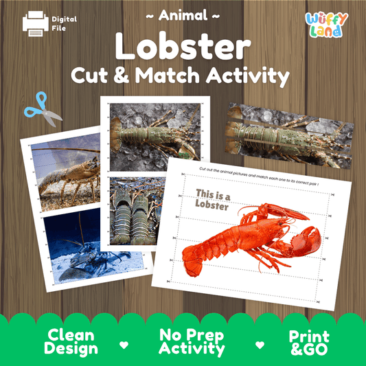 Lobster Cut and Match Activity Worksheets | Ocean Animal Puzzle Printables
