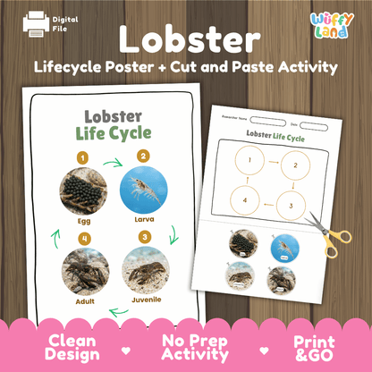 Lobster Life Cycle Poster and Cut and Paste Activity Worksheets