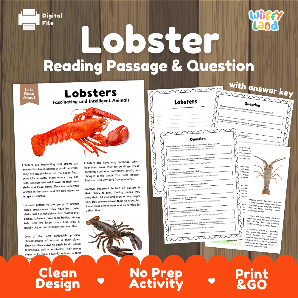 Lobster Reading Passage and Comprehension Questions Worksheets
