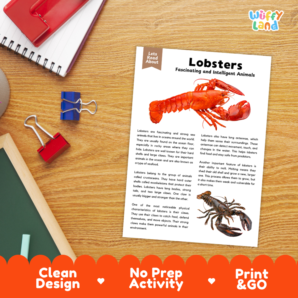 Lobster Reading Passage and Comprehension Questions Worksheets