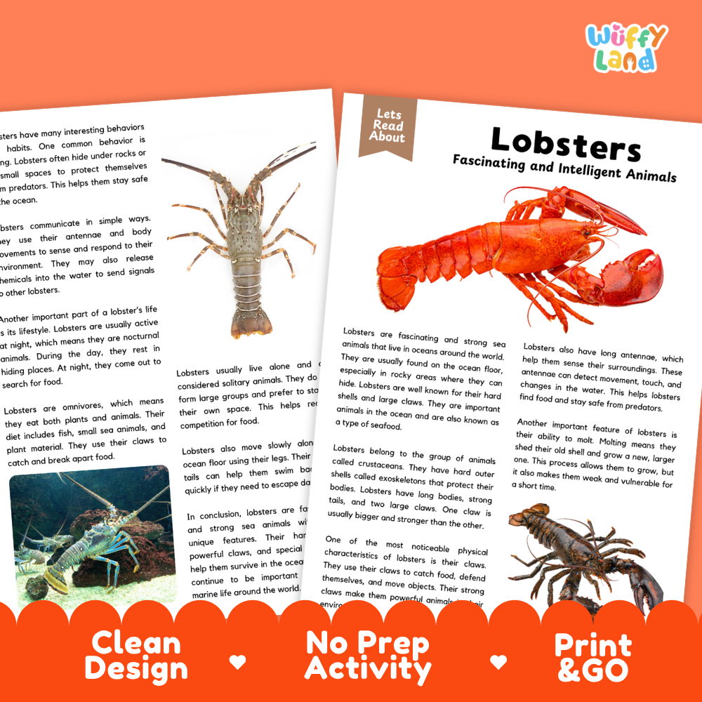 Lobster Reading Passage and Comprehension Questions Worksheets