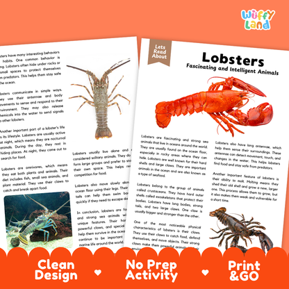 Lobster Reading Passage and Comprehension Questions Worksheets