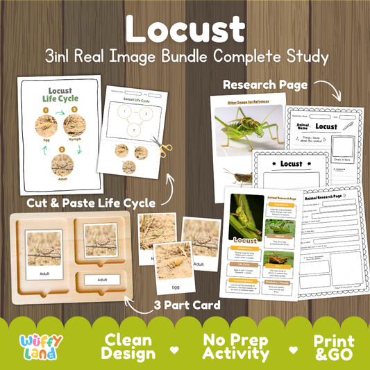 Locust 3-in-1 real image bundle complete study cover showing cut and paste life cycle, 3 part cards, and research pages