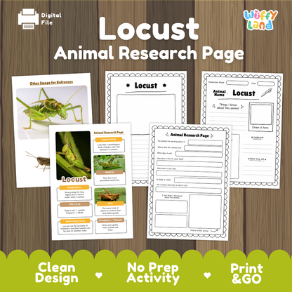 Locust Animal Research Page Worksheets