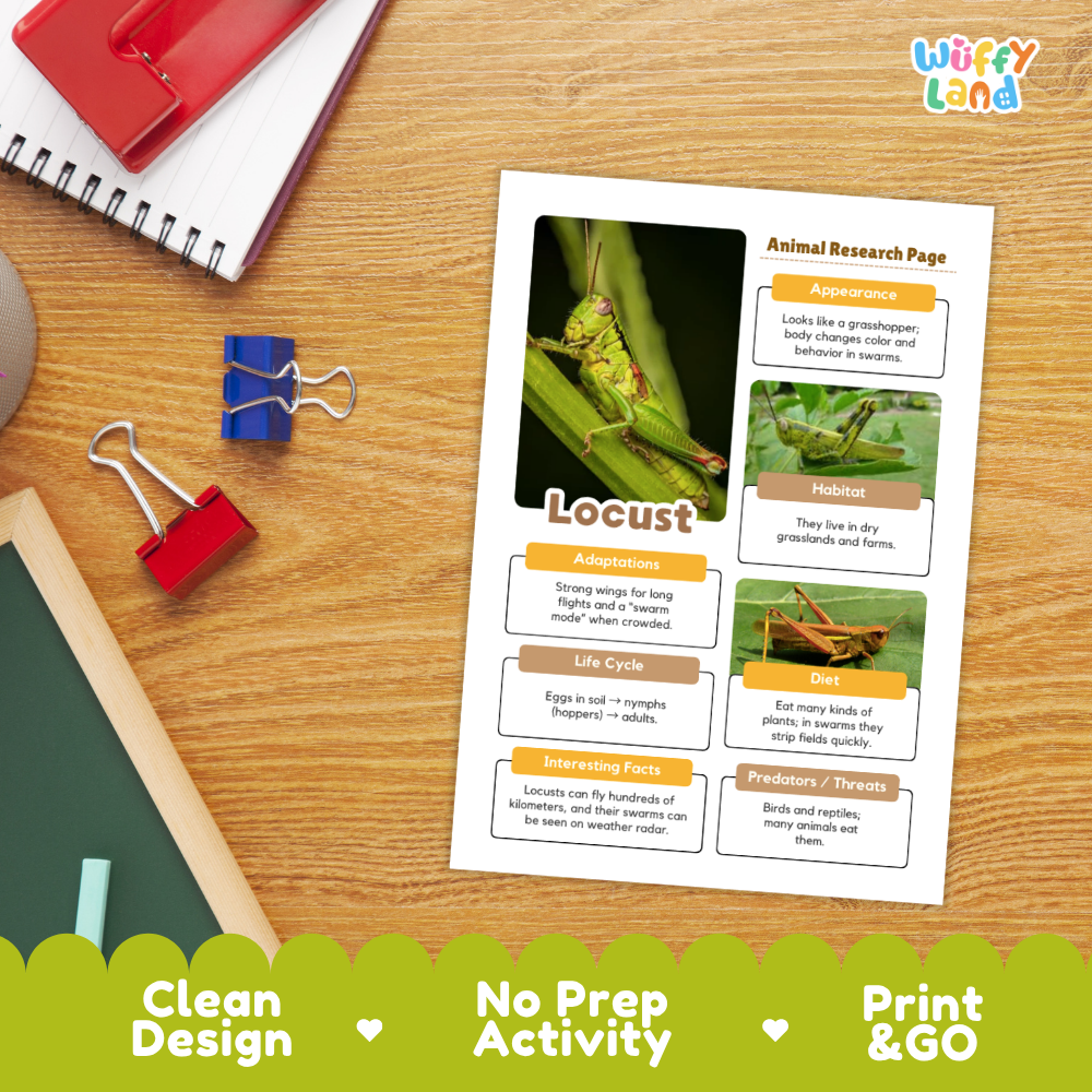 Locust Animal Research Page Worksheets