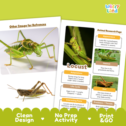 Locust Animal Research Page Worksheets